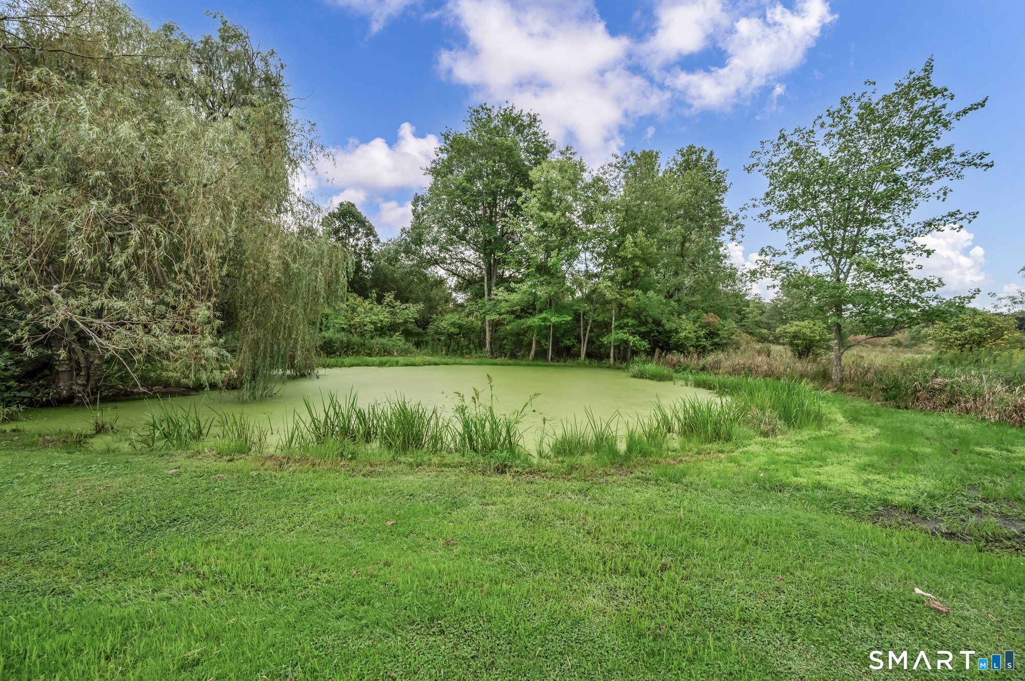 1105 Northrop Road Wallingford, CT 06492 - Photo 29 of 34 Gallery Image 29