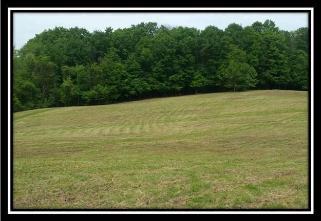 4517 Headleys Mill Road Southwest Pataskala, OH 43062 - Photo 5 of 10 Gallery Image 5