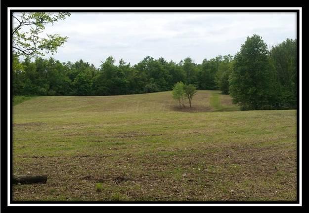 4517 Headleys Mill Road Southwest Pataskala, OH 43062 - Photo 8 of 10 Gallery Image 8