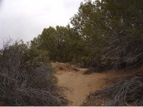0 North Brenda Road Prescott, AZ 86305 - Photo 8 of 11 Additional Photo