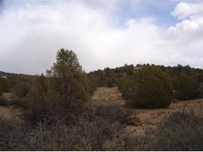 0 North Brenda Road Prescott, AZ 86305 - Photo 9 of 11 Additional Photo