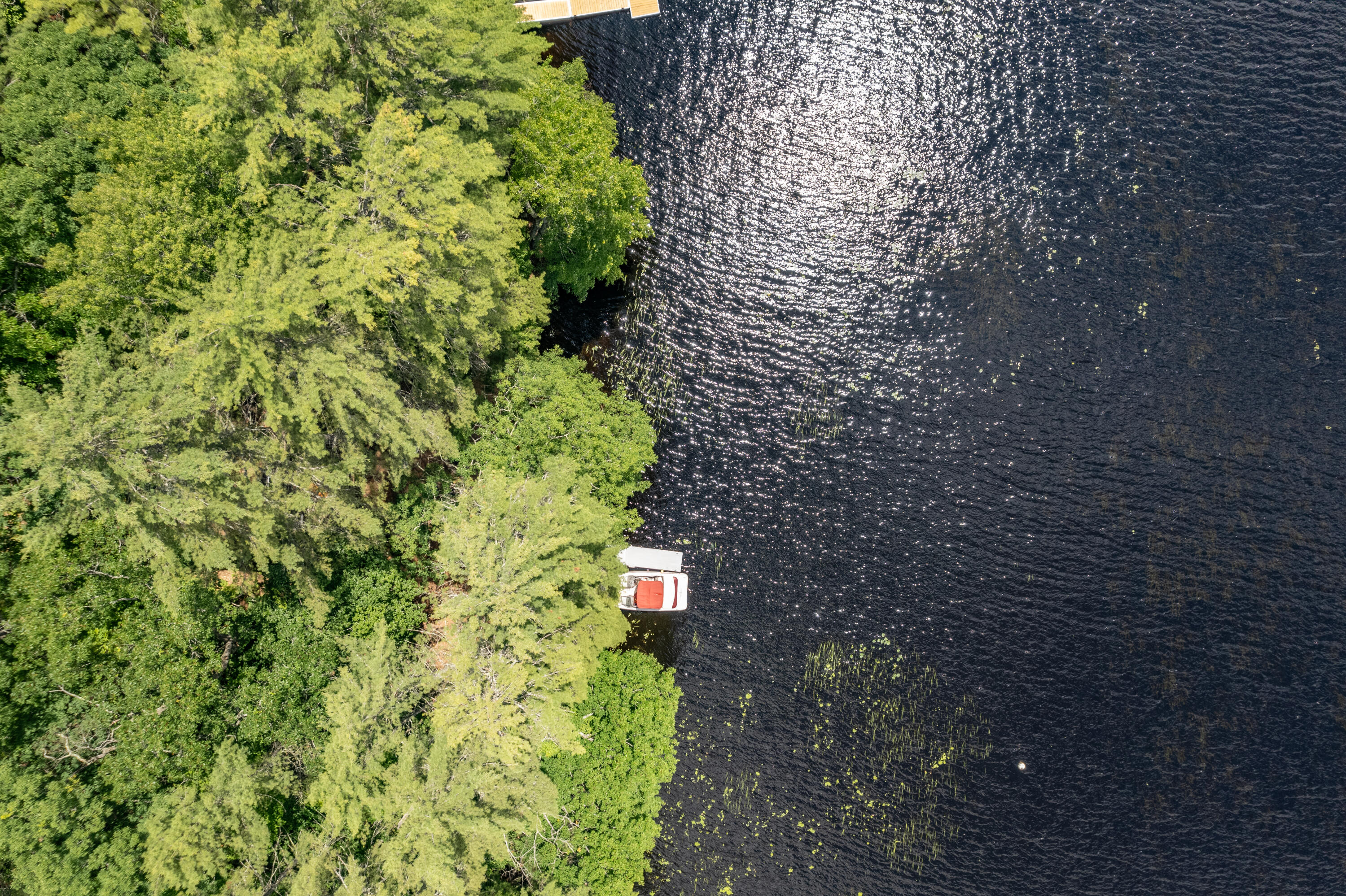 95 Beach Road Naples, ME 04055 - Photo 68 of 68 95 Beach Naples-35