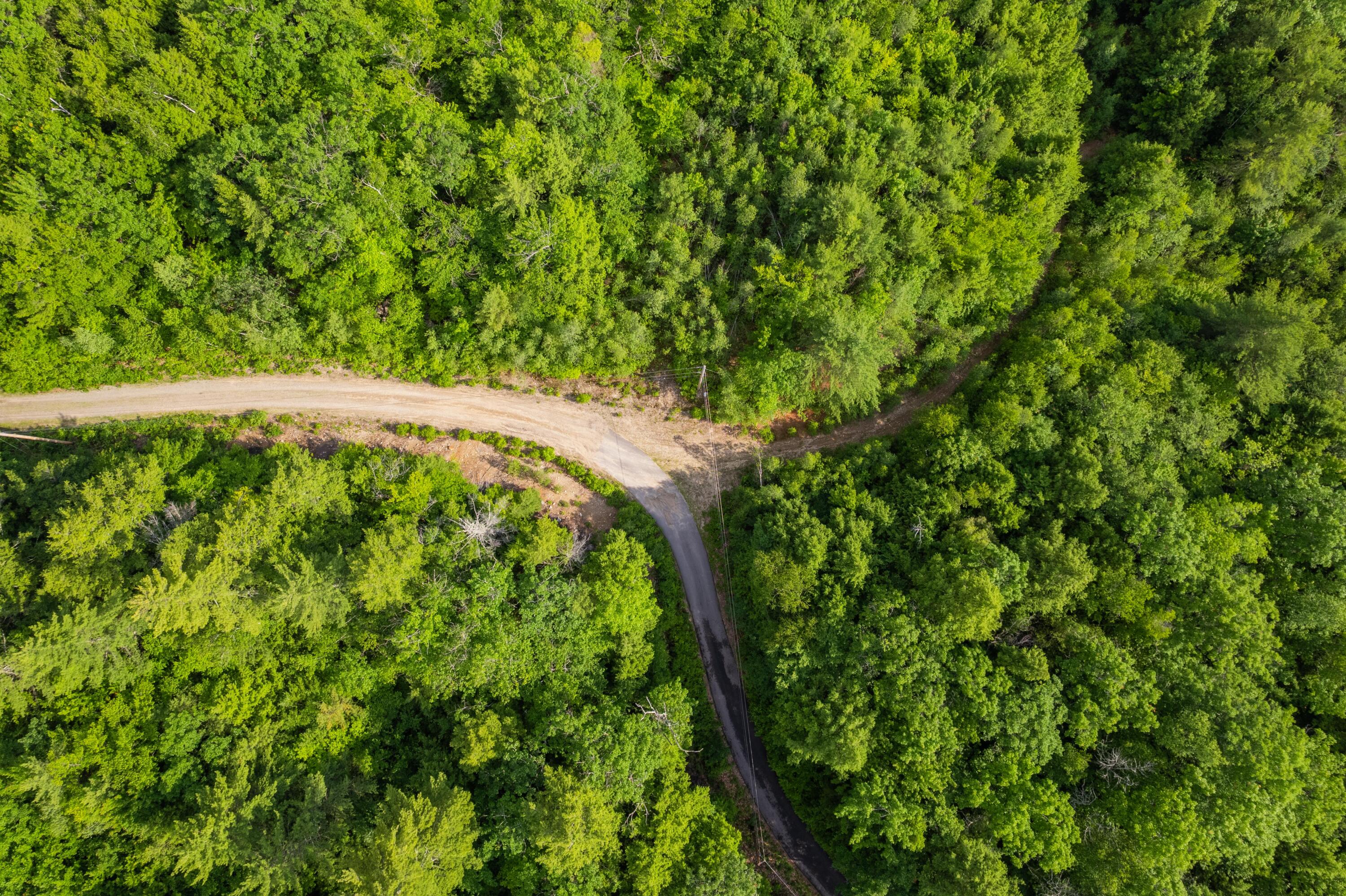 Map13-lot11 Field View Road Fryeburg, ME 04037 - Photo 10 of 49 DJI_0311 Tim Monahan