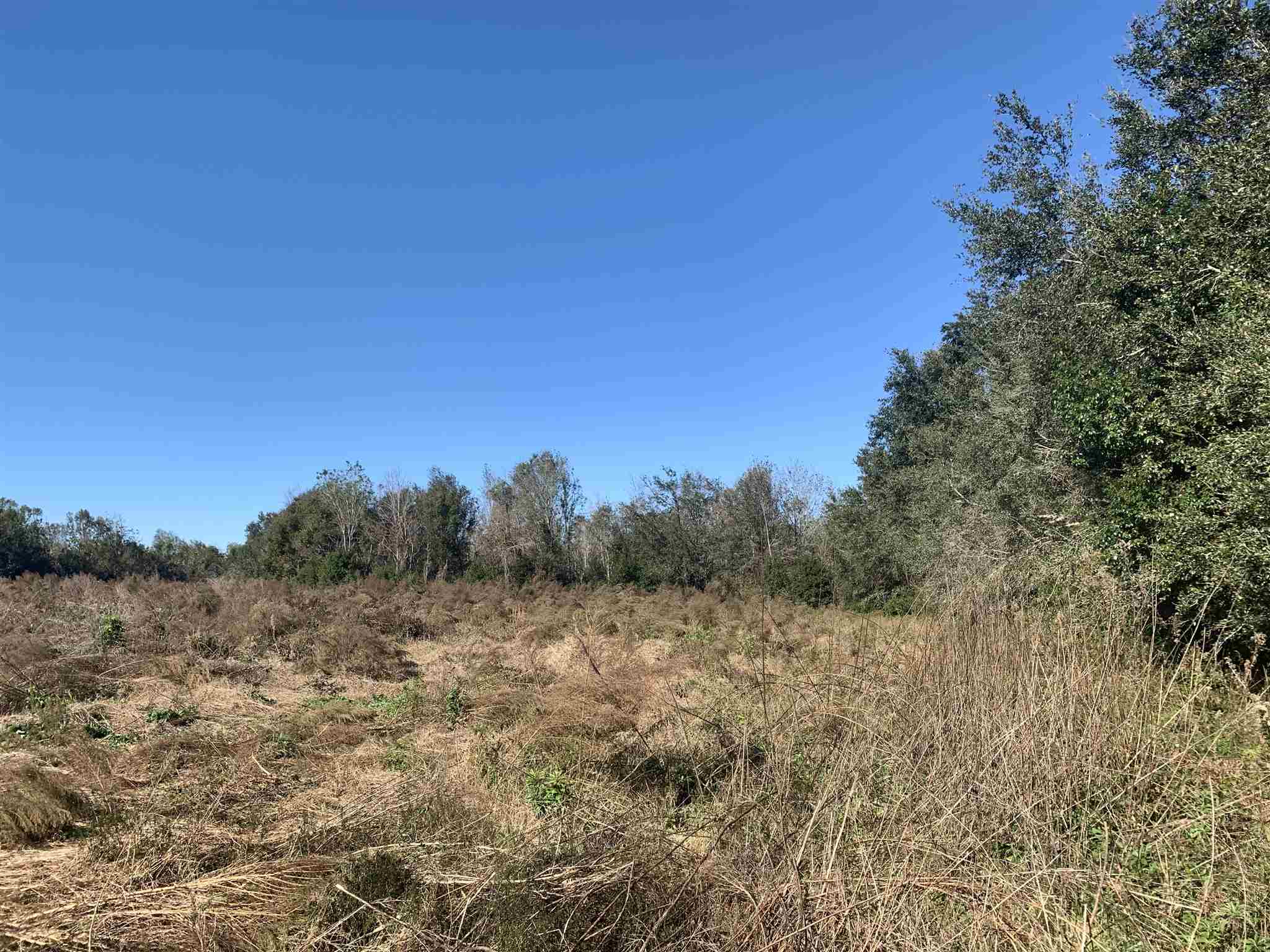 10260 County Road 32 Fairhope, AL 36532 - Photo 19 of 24