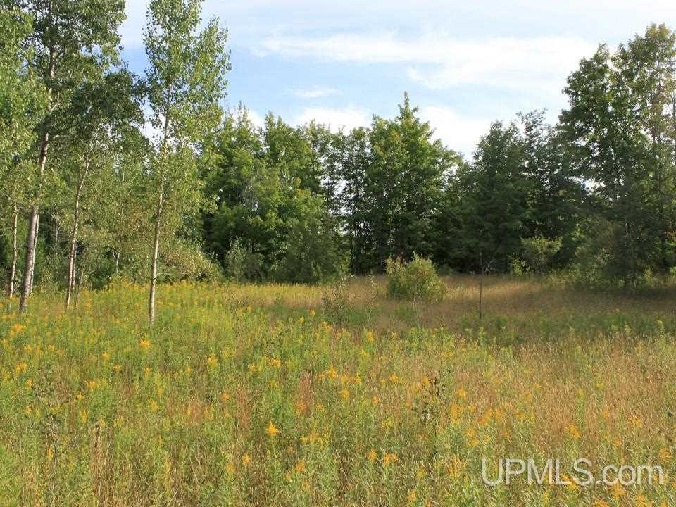 Tbd Shepards Ridge Road Lake Linden, MI 49945 - Photo 26 of 27 Gallery Image 26
