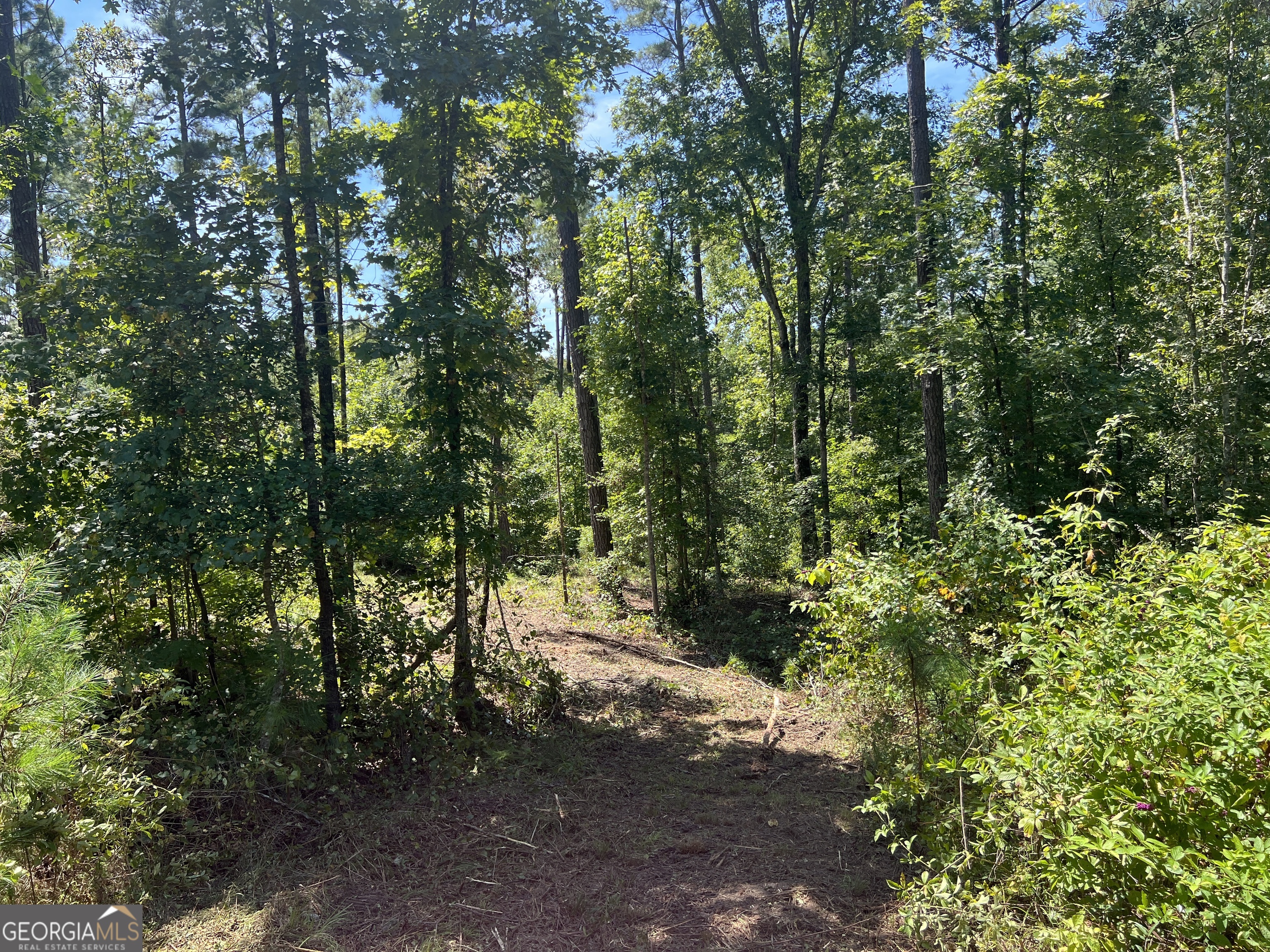 39.87-acres Irby Road Gibson, GA 30810 - Photo 55 of 56 Gallery Image 55