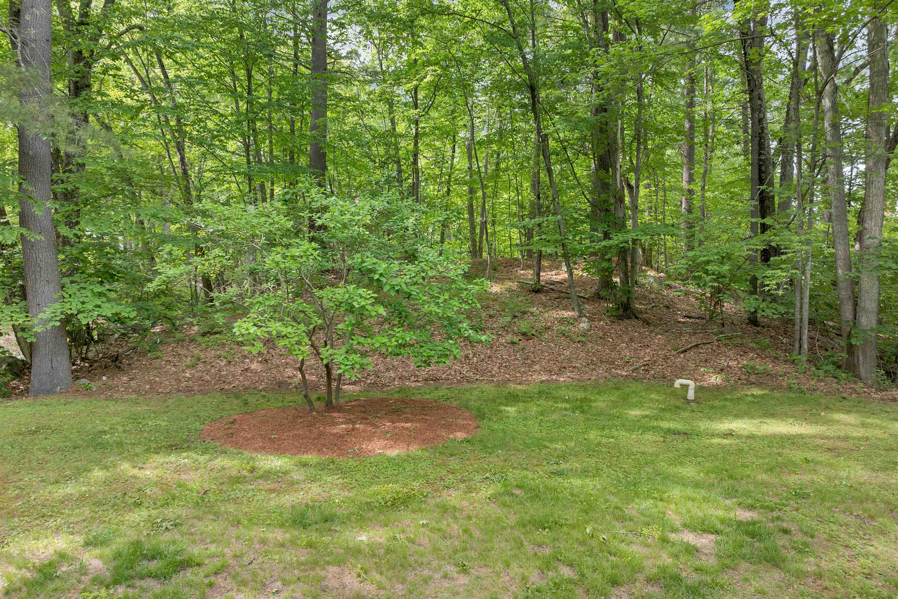 208 Liberty Hill Road Bedford, NH 03110 - Photo 28 of 29