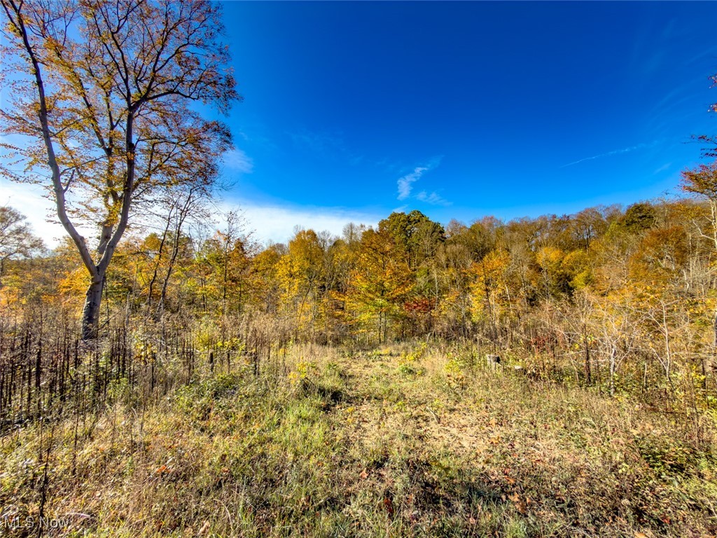 0 Flint Ridge Road Northeast Crooksville, OH 43731 - Photo 29 of 46 View of wooded area