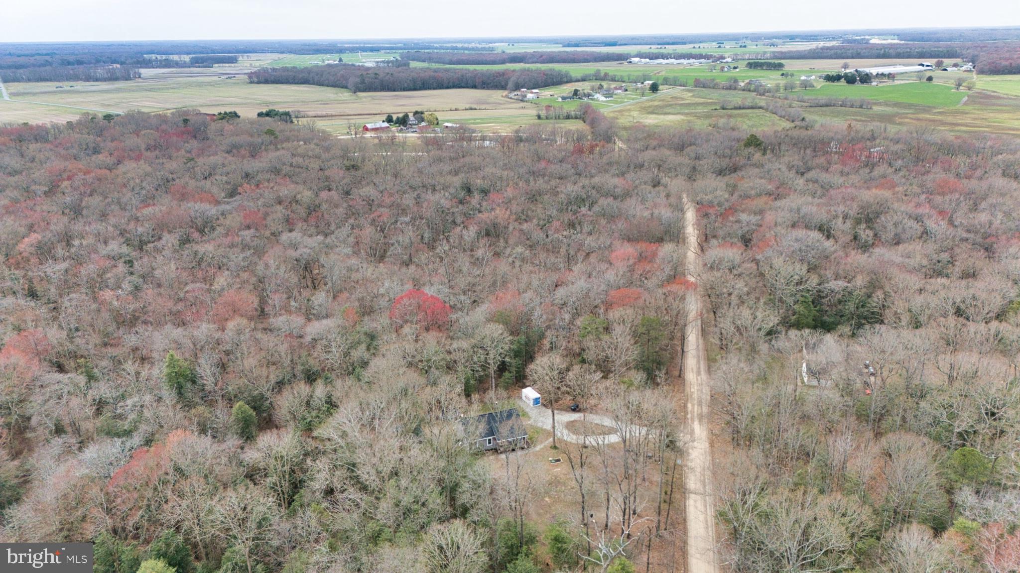 25095 Trunk Line Road Henderson, MD 21640 - Photo 21 of 39 Serene woodland retreat awaits discovery.