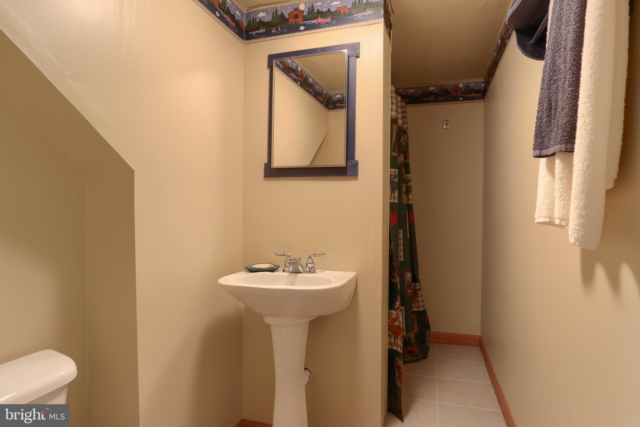 372 Old Mine Road Lebanon, PA 17042 - Photo 22 of 31 full bath in basement