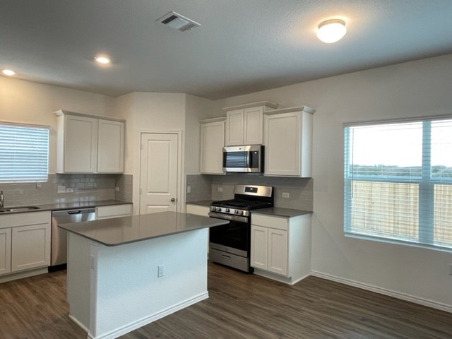 10413 Premier Park Street Austin, TX 78747 - Photo 5 of 24 a kitchen with stainless steel appliances granite countertop a stove a sink and white cabinets