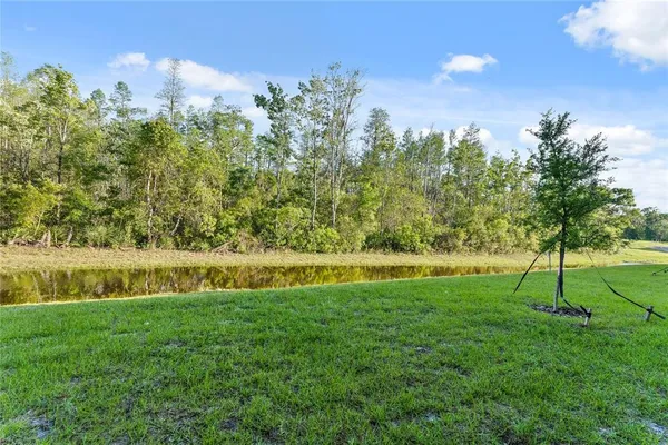 $2,400 | 17712 Nectar Flume Drive, Land O Lakes, FL 34638