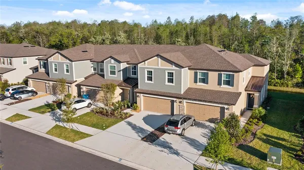 $2,400 | 17712 Nectar Flume Drive, Land O Lakes, FL 34638