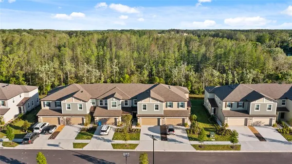 $2,400 | 17712 Nectar Flume Drive, Land O Lakes, FL 34638