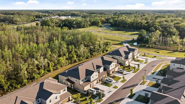 $2,400 | 17712 Nectar Flume Drive, Land O Lakes, FL 34638