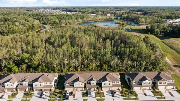 $2,400 | 17712 Nectar Flume Drive, Land O Lakes, FL 34638