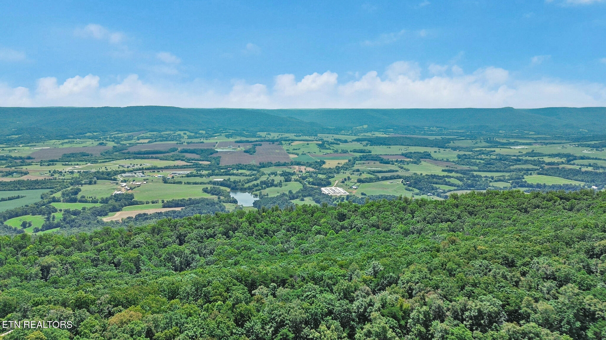636 Timber View Road Pikeville, TN 37367 - Photo 42 of 43 dji_0441-dji_0443