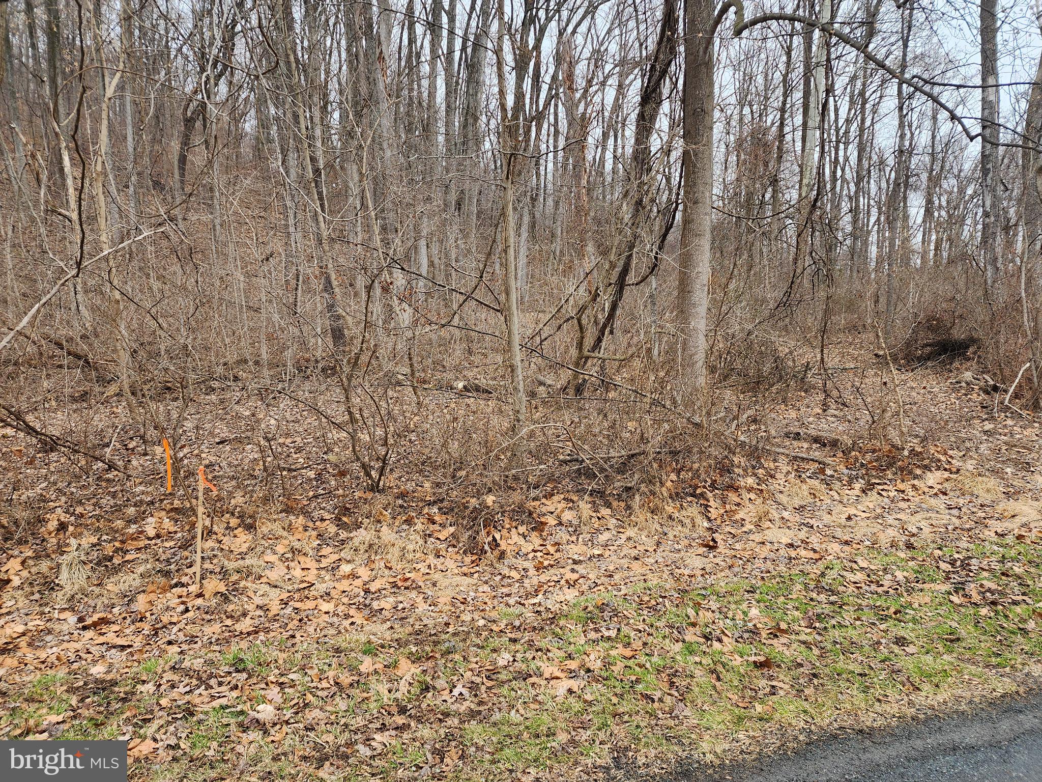 12 Plain View Trail Fairfield, PA 17320 - Photo 2 of 4