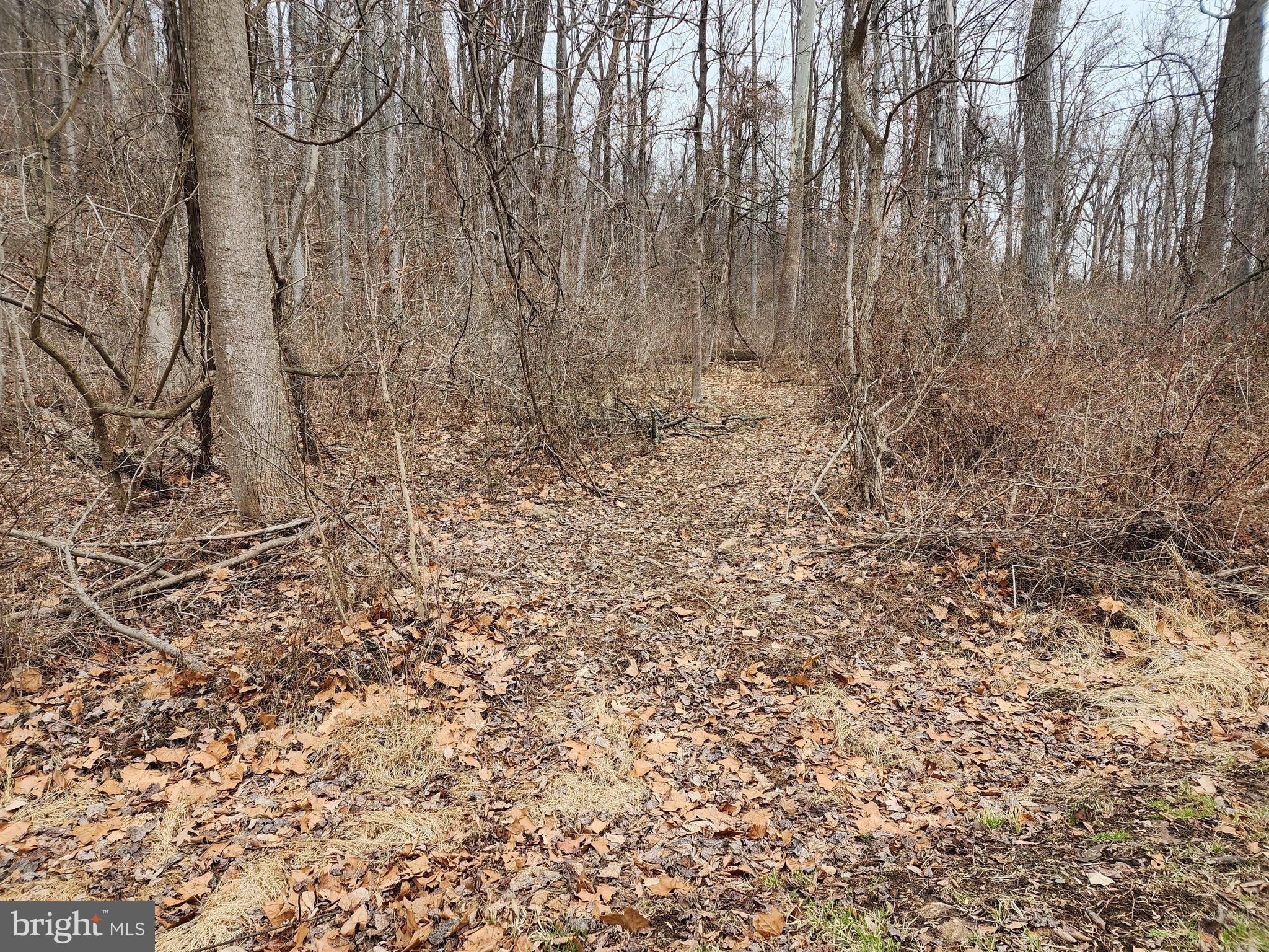 12 Plain View Trail Fairfield, PA 17320 - Photo 3 of 4