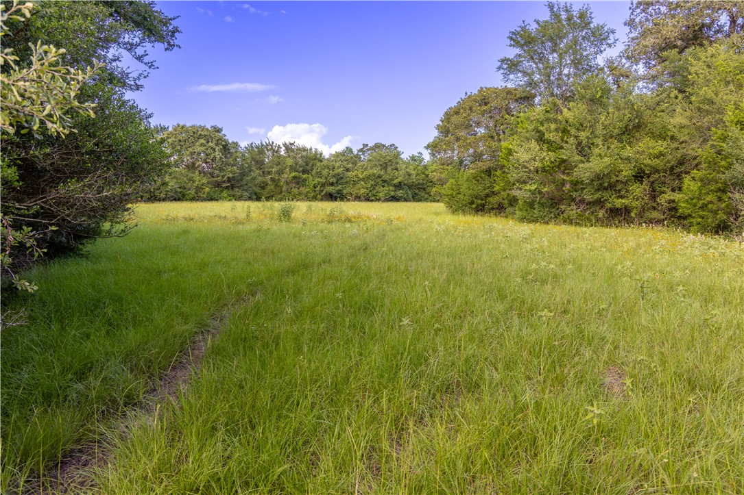 10102 Ferrill Creek Road Bryan, TX 77808 - Photo 15 of 29