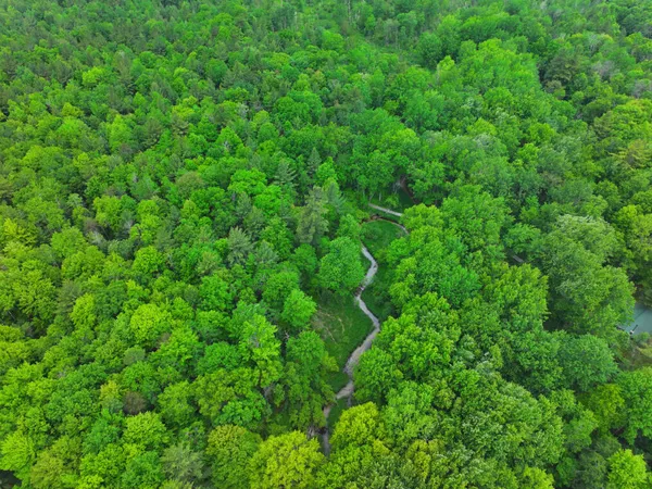 $79,900 | 14 North Woodbridge Avenue, Bitely, MI 49309