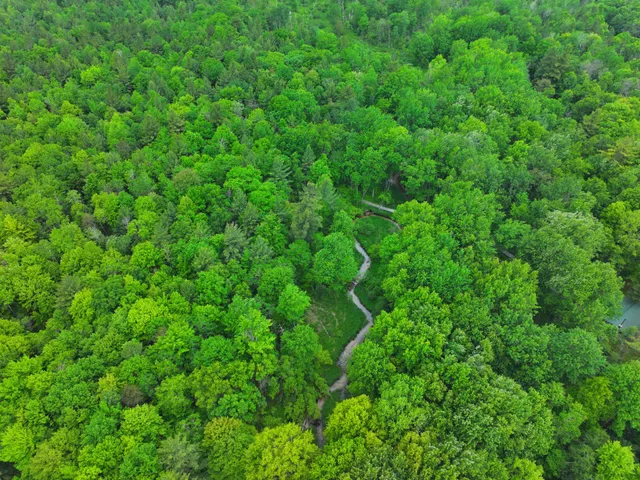 $79,900 | 14 North Woodbridge Avenue, Bitely, MI 49309