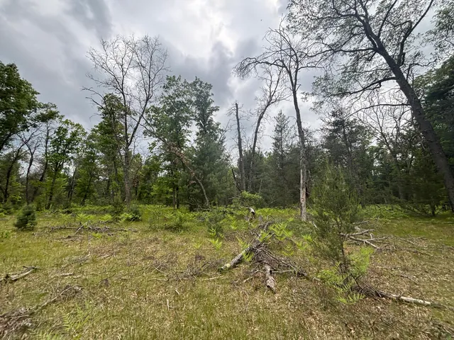 $79,900 | 14 North Woodbridge Avenue, Bitely, MI 49309