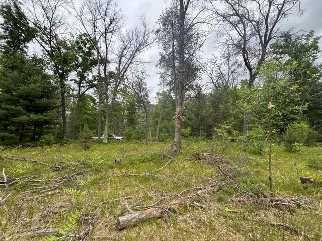 $79,900 | 14 North Woodbridge Avenue, Bitely, MI 49309