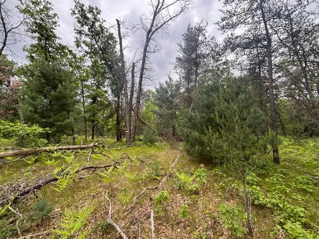 $79,900 | 14 North Woodbridge Avenue, Bitely, MI 49309