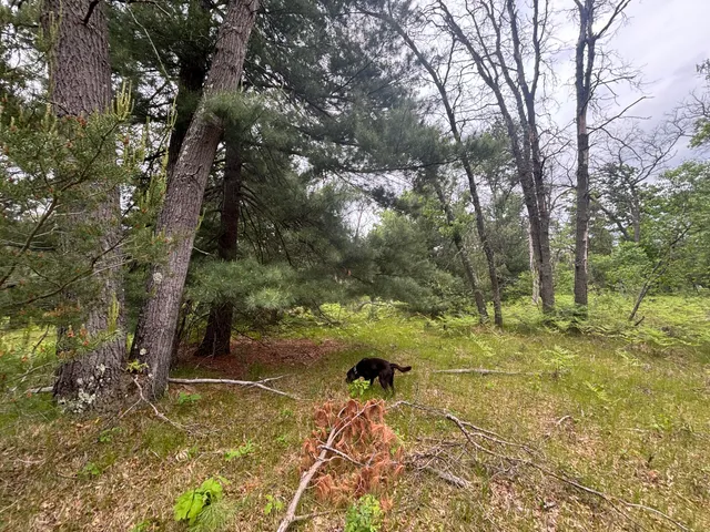 $79,900 | 14 North Woodbridge Avenue, Bitely, MI 49309