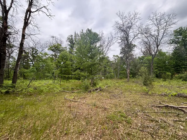 $79,900 | 14 North Woodbridge Avenue, Bitely, MI 49309