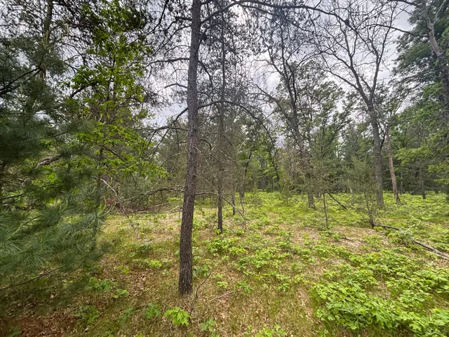 $79,900 | 14 North Woodbridge Avenue, Bitely, MI 49309