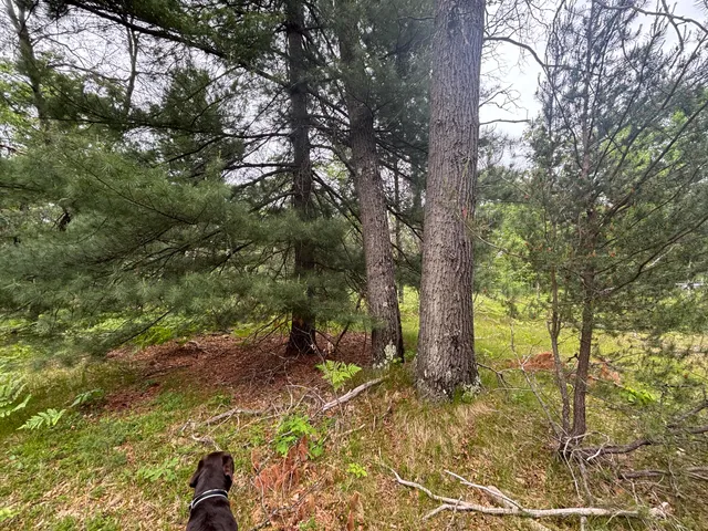 $79,900 | 14 North Woodbridge Avenue, Bitely, MI 49309