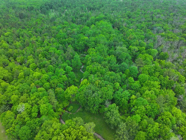 $79,900 | 14 North Woodbridge Avenue, Bitely, MI 49309