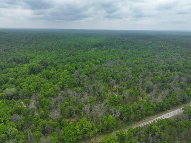 $79,900 | 14 North Woodbridge Avenue, Bitely, MI 49309