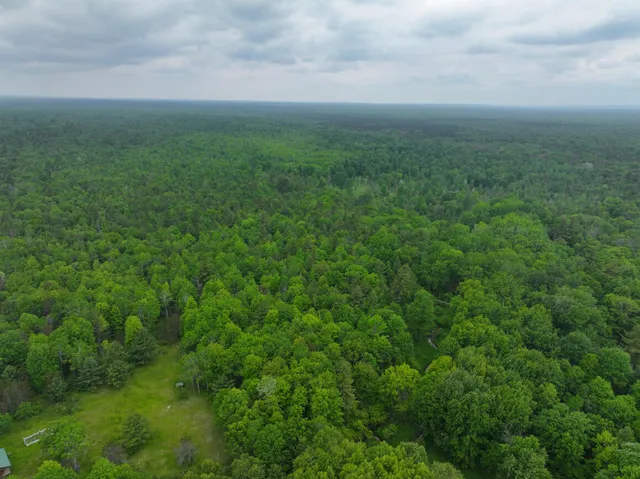 $79,900 | 14 North Woodbridge Avenue, Bitely, MI 49309