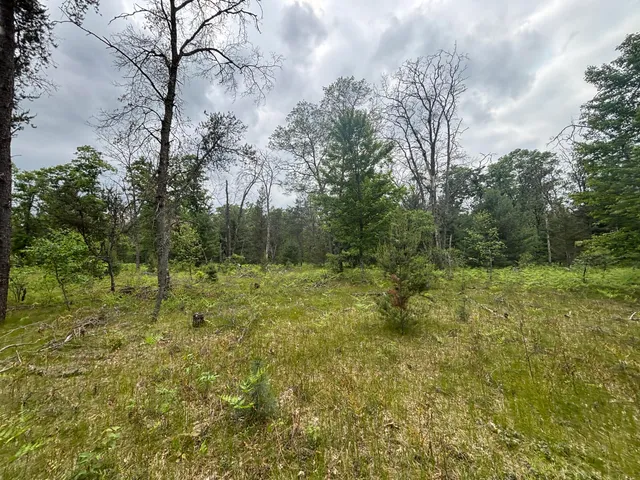 $79,900 | 14 North Woodbridge Avenue, Bitely, MI 49309