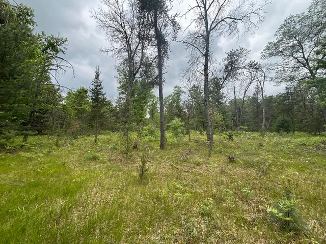 $79,900 | 14 North Woodbridge Avenue, Bitely, MI 49309