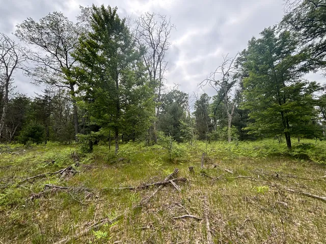 $79,900 | 14 North Woodbridge Avenue, Bitely, MI 49309