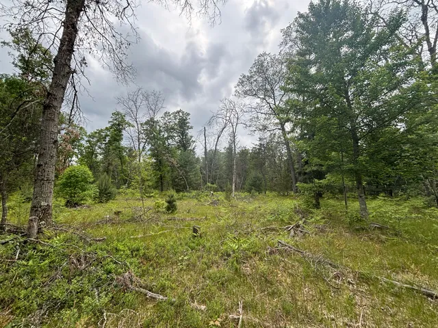 $79,900 | 14 North Woodbridge Avenue, Bitely, MI 49309