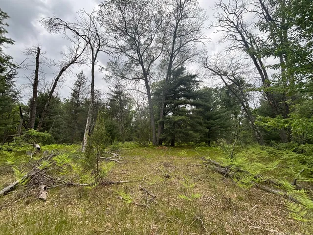 $79,900 | 14 North Woodbridge Avenue, Bitely, MI 49309