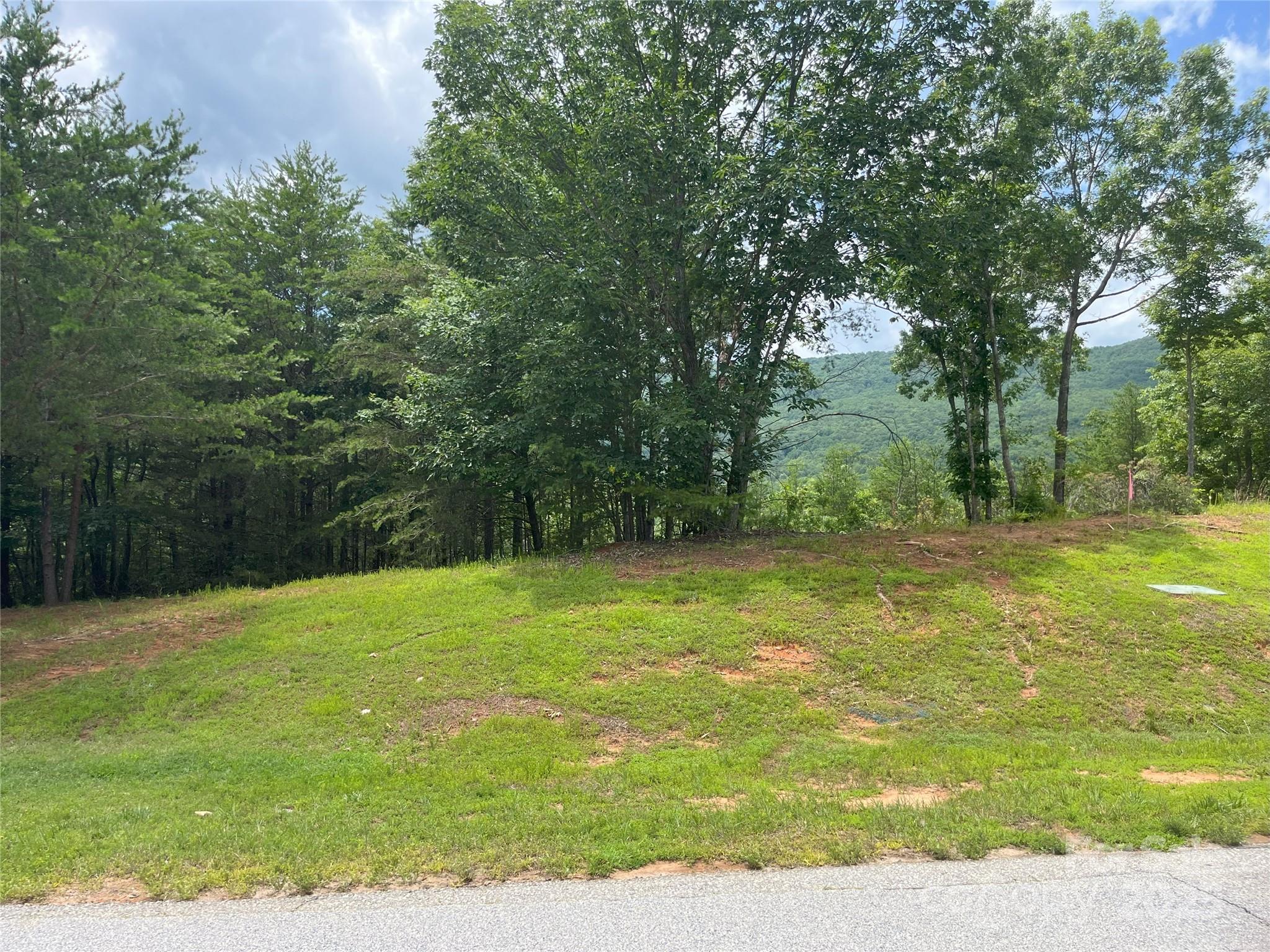 0 Deep Gap Rd Mill Spring East, Unit 59 Mill Spring, NC 28756 - Photo 6 of 25