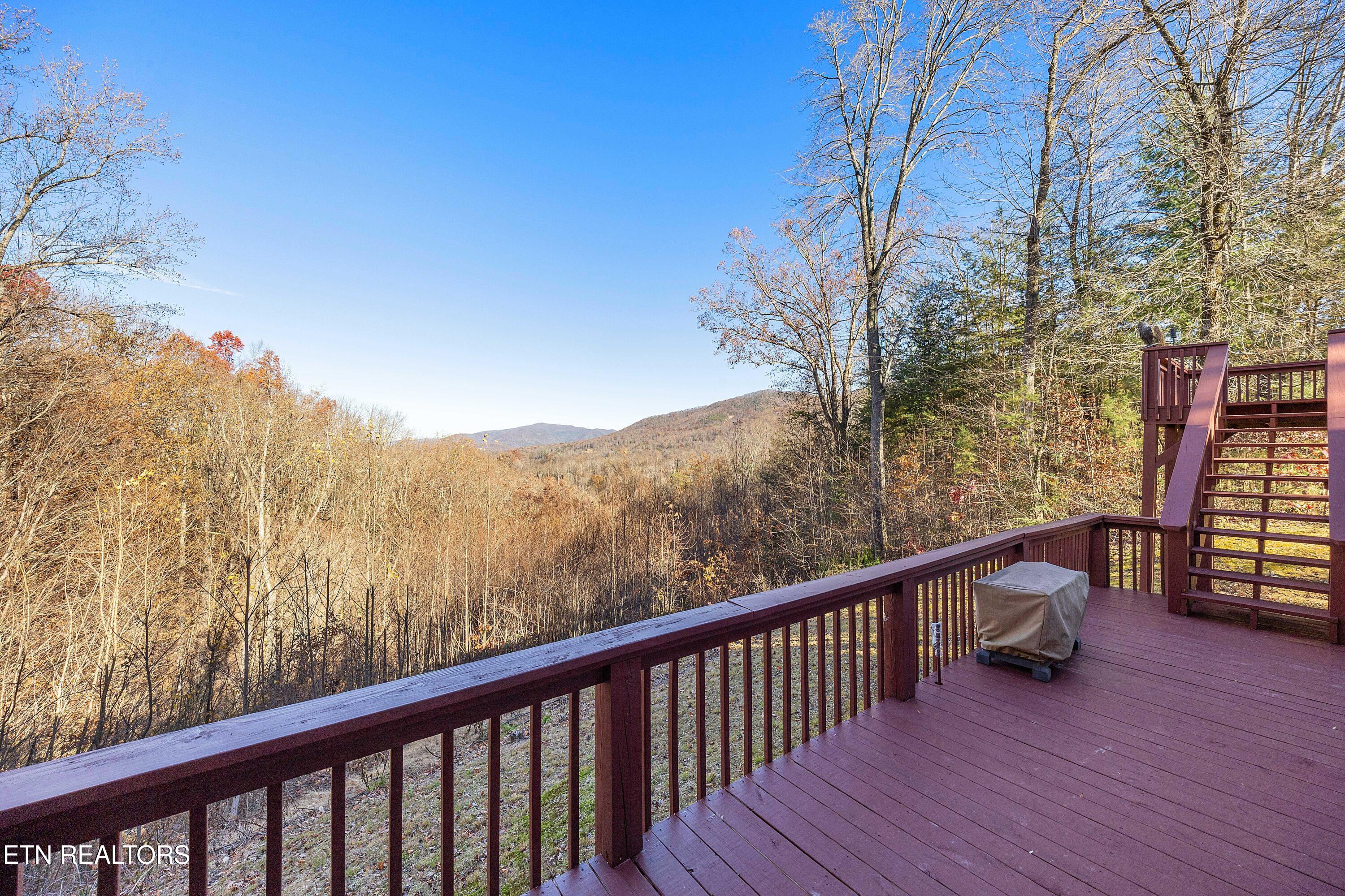 414 Gold Road Cosby, TN 37722 - Photo 9 of 58 L40A1415