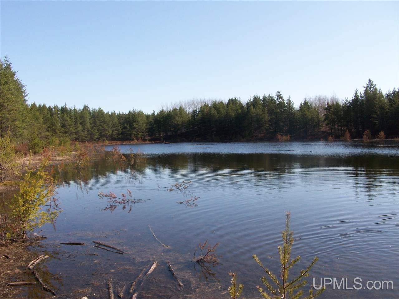 Tbd Off Eg Road Gwinn, MI 49841 - Photo 6 of 11