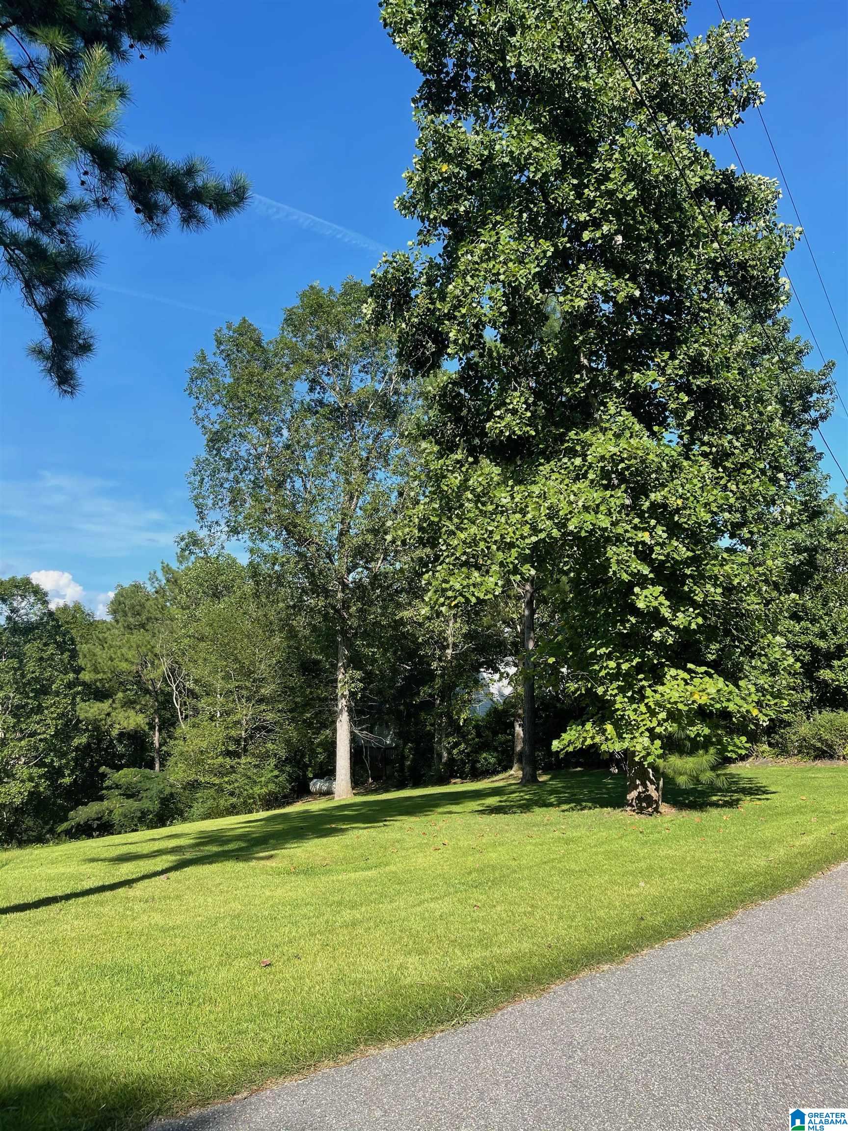 1 Ridge Drive Shelby, AL 35143 - Photo 5 of 5