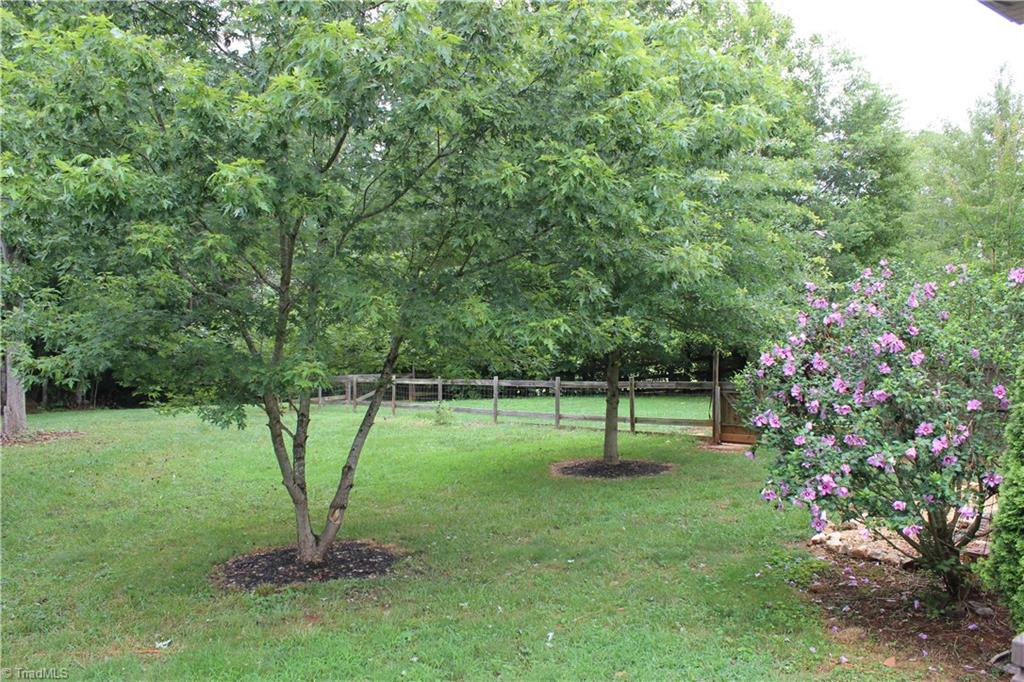 8267 Coldwater Road Stokesdale, NC 27357 - Photo 28 of 30 Another view of the backyard!
