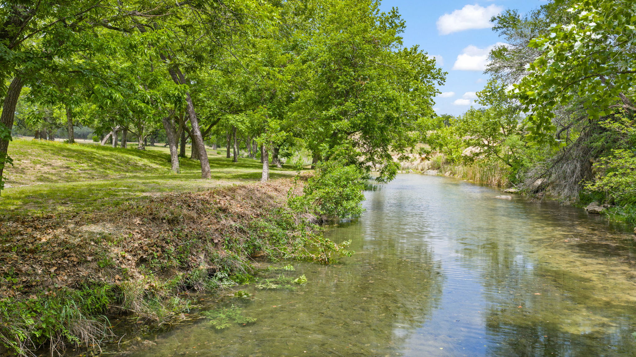 14909 Fitzhugh Road, Unit B Austin, TX 78736 - Photo 2 of 40