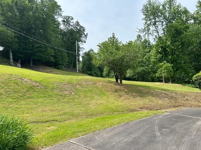 1625 New Buckley Road Ashland, KY 41102 - Photo 10 of 15