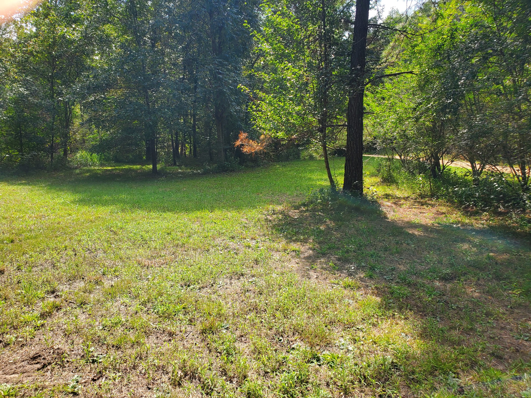 290 Bob Cat Road Linden, TN 37096 - Photo 28 of 49 Gallery Image 28