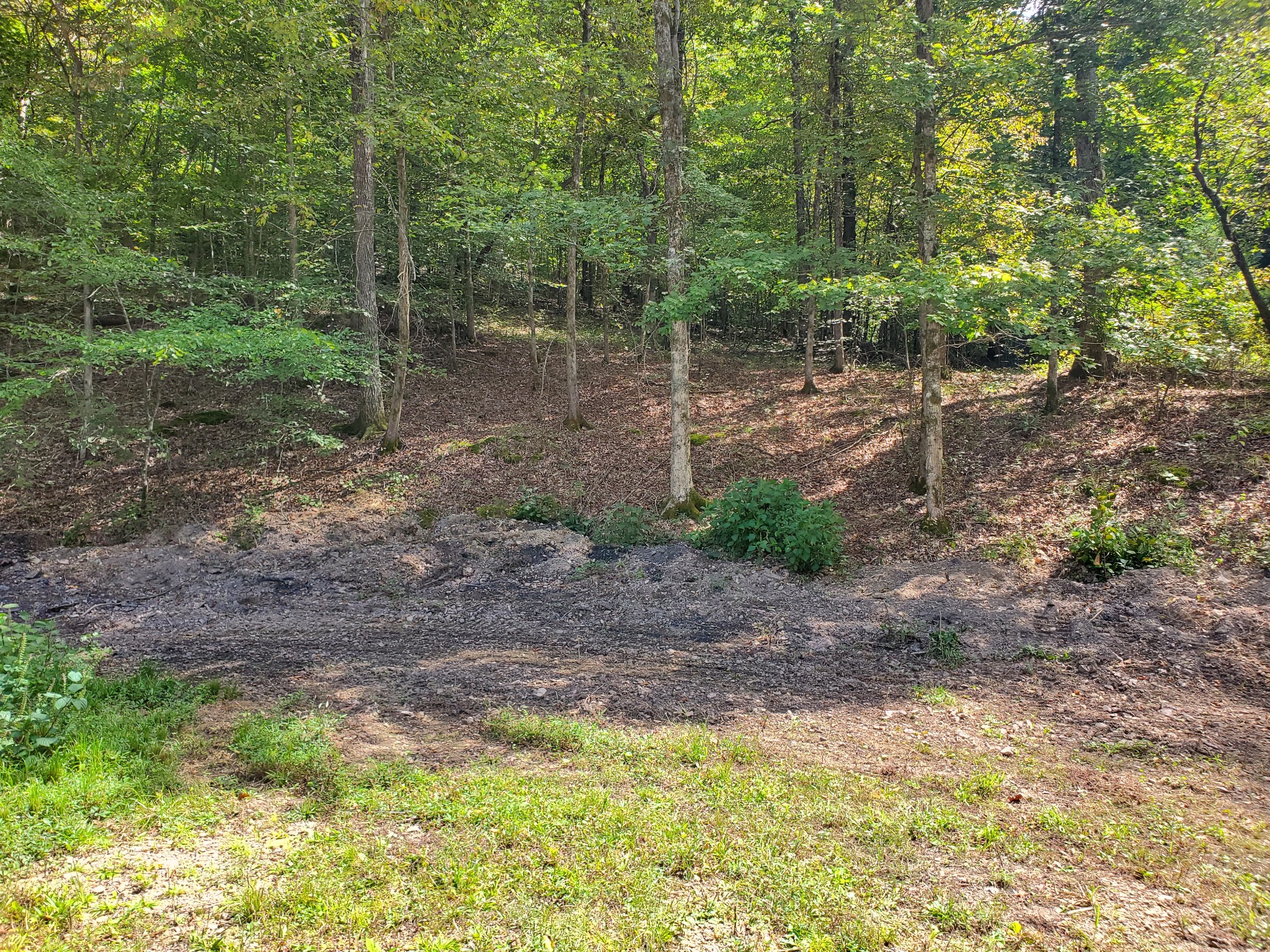 290 Bob Cat Road Linden, TN 37096 - Photo 29 of 49 Gallery Image 29